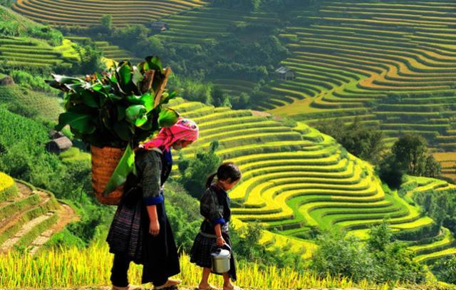 Khach San Sapa Ngay Nay Hotell Eksteriør bilde